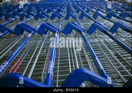 Rangées de chariots Tesco bleu en stationnement. Seulement ÉDITORIALE Banque D'Images