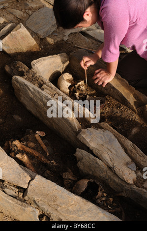 L'extraction de l'archéologue dans le site archéologique de la nécropole Chao Samartin ' ' Espagne Asturies Banque D'Images