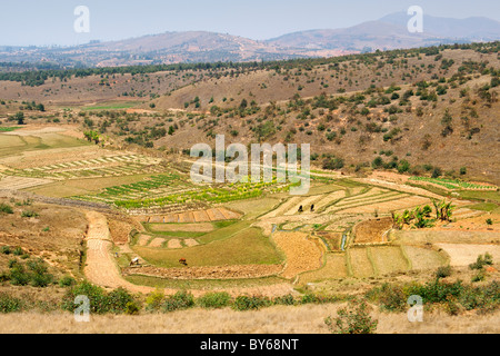 Paysage de rizières et de cultures variées à environ 20 kilomètres au nord d'Antananarivo, capitale de Madagascar. Banque D'Images