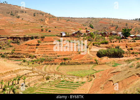 Paysage de rizières et de cultures variées à environ 20 kilomètres au nord d'Antananarivo, capitale de Madagascar. Banque D'Images