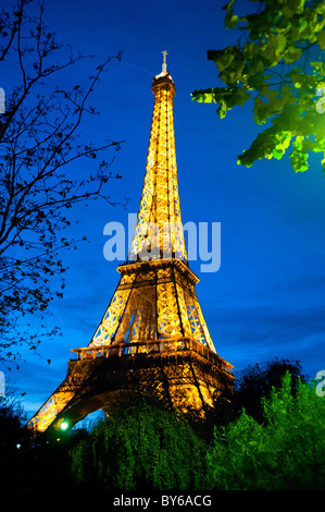 Tour Eiffel Lumières Dorées Vue Nocturne à Travers les Arbres Paris France | PARIS, France — Les branches d'arbres encadrent la Tour Eiffel illuminée d'or contre le bleu profond de la nuit parisienne, sa silhouette en treillis s'étrécissant est ancrée par la base en arche au-dessus du Champ de Mars. Construite entre 1887 et 1889 selon les plans de Gustave Eiffel pour l'Exposition Universelle, la tour porte des antennes radio et télévision depuis le début du XXe siècle. Banque D'Images