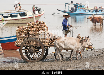 Transporteur de marchandises traditionnelles à Mrauk-U en Birmanie. Banque D'Images
