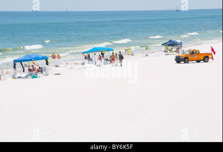 Tentes fournissent de l'ombre pour les travailleurs du pétrole de BP sur Pensacola en Floride à la hauteur de la saison touristique Banque D'Images