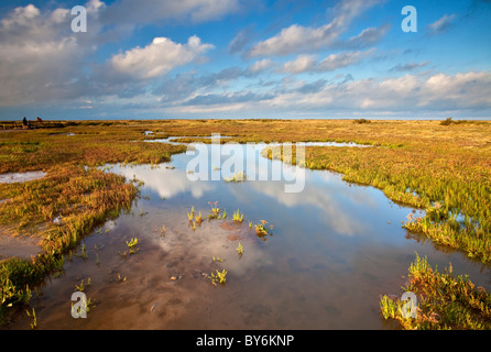 Stiffkey les marais salés à la suite d'une tempête qui passe sur la côte nord du comté de Norfolk Banque D'Images