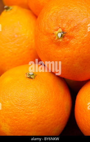 Close up de clémentines, Citrus reticulata Banque D'Images