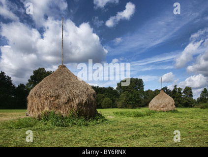 Botte, Lehde, Spreewald, Land de Brandebourg, Allemagne Banque D'Images