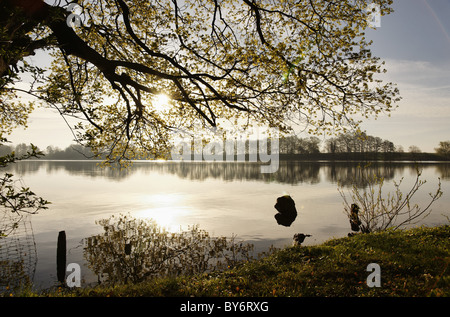 Lac près de Roebel, Rügen, Mecklembourg-Poméranie-Occidentale, Allemagne Banque D'Images