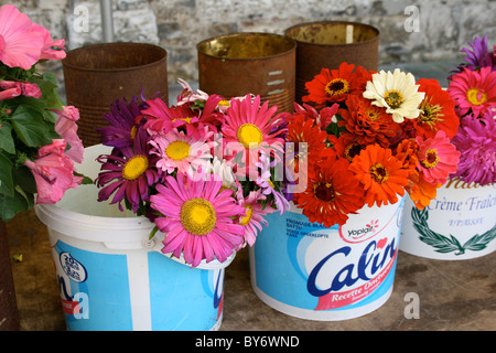 Fleurs dans marché français Banque D'Images