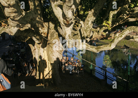 France Alsace Strasbourg dimanche après-midi ensoleillée côté canal cafe grand arbre ombre Banque D'Images