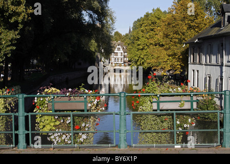 France Alsace Strasbourg dimanche après-midi ensoleillée côté canal bâtiment à colombages Fenêtres et volets Banque D'Images