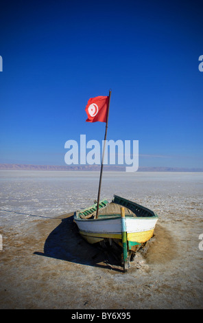 Bateau à rames sur le Chott-el-Jerid Salt Flats en Tunisie Banque D'Images