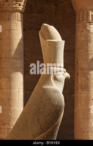 Statue d'Horus à l'entrée de la cour, Temple d'Horus, le Temple de Edfou, Edfou, Egypte, Afrique du Sud Banque D'Images