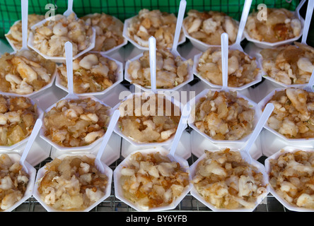 Poulpe frit Roe en vente chez Food marché de Chatuchak Bangkok Thaïlande Banque D'Images