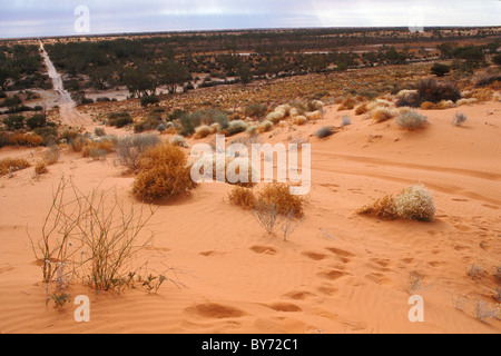 Pays des dunes de sable, désert de Simpson, dans le sud de l'Australie Banque D'Images