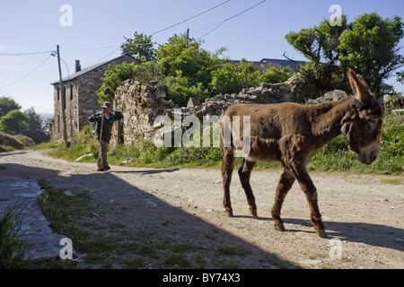 L'homme et de l'âne à Foncebadon, Camino Frances, Chemin de Saint-Jacques de Compostelle, Chemin de Compostelle, les pèlerins, UNESCO World Heritage, Europea Banque D'Images