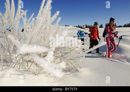 Les gens de raquette en paysage enneigé, Hemmersuppenalm, Reit im Winkl, Chiemgau, Haute-Bavière, Bavaria, Germany, Europe Banque D'Images