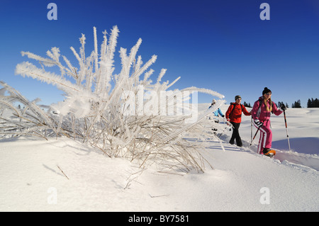 Les gens de raquette en paysage enneigé, Hemmersuppenalm, Reit im Winkl, Chiemgau, Haute-Bavière, Bavaria, Germany, Europe Banque D'Images