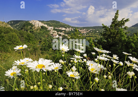 Flower meadow et village de montagne dans l'arrière-plan, Villetta Barrea, Lago di Barrea, Abruzzes, Italie, Europe Banque D'Images