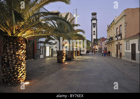 Palmiers dans une rue calme, au centre-ville de Santa Cruz, Iglesia de la conception, Tenerife, Canaries, Espagne Banque D'Images