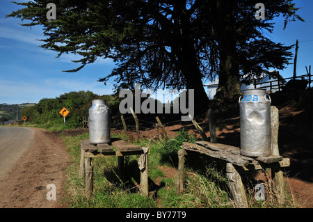 Soleil sur trois bidons de lait sur deux tables en bois, à l'ombre d'un arbre en bordure de route, près de Quetalmahue, Ile de Chiloé, Chili Banque D'Images