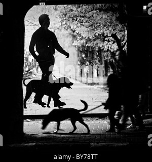 Une femme marche avec son chien passer un panneau représentant une personne qui marche avec un chien dans le centre-ville de Tel Aviv, Israël Banque D'Images