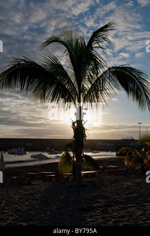 Palm tree silhouetted at Playa San Juan en Tenerife Espagne Banque D'Images