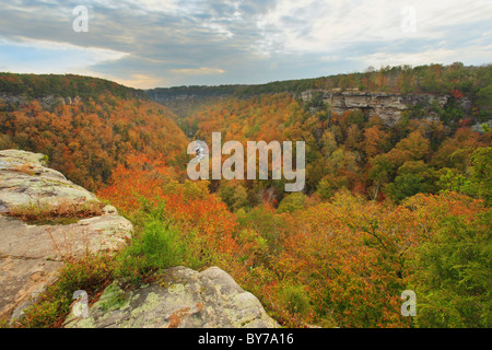 Canyon View surplombent, Little River Canyon National Preserve, de Fort Payne, Alabama, Etats-Unis Banque D'Images