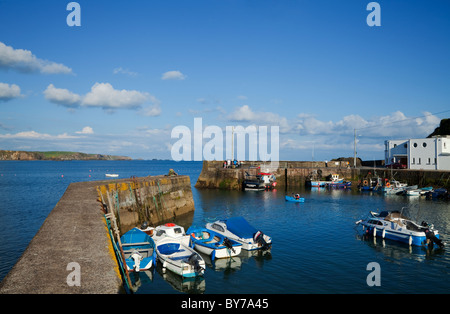 Boatstrand Harbour, le Copper Coast Geopark, comté de Waterford, Irlande Banque D'Images