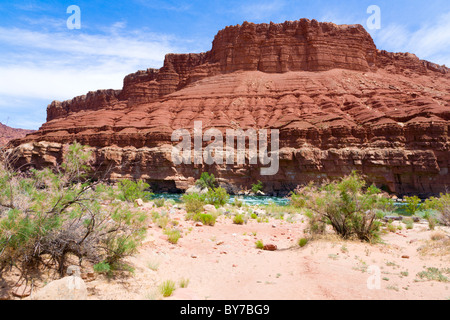 Fleuve Colorado à Lees Ferry, Arizona Banque D'Images