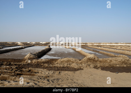 Salines à Kutch, Inde. Banque D'Images