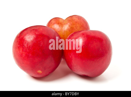 Trois prunes rouges à partir de la perspective faible isolé sur blanc. Banque D'Images