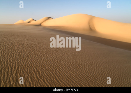 Une dune de sable géante à dos de baleine s'étendant sur la Grande mer de sable, dans la région du désert occidental du Sahara, en Égypte. Banque D'Images