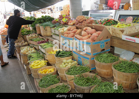 Nashville Tennessee,marché agricole de Nashville,production locale,légumes,frais,courge,haricots verts,ignames,courgettes,durabilité,vert Banque D'Images