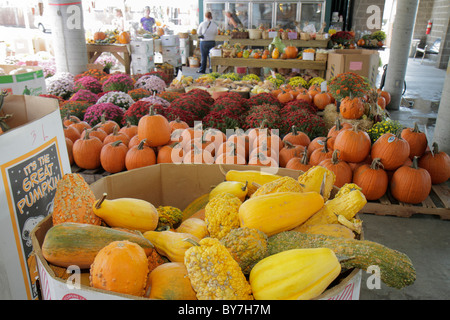 Tennessee Nashville, marché agricole de Nashville, produits locaux, frais, récolte d'automne, automne, citrouille, courge, légume, fleur, femme femme, shopp Banque D'Images