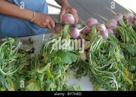 Nashville Tennessee,marché agricole de Nashville,production locale,légumes racines,frais,navet,développement durable,Green Movement,Black Blacks Banque D'Images