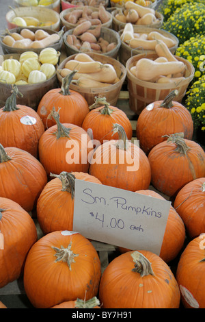 Nashville Tennessee,marché agricole de Nashville,agriculture,produits locaux,récolte d'automne,automne,citrouille,courge,légume,signe,logo,prix,shopping Banque D'Images