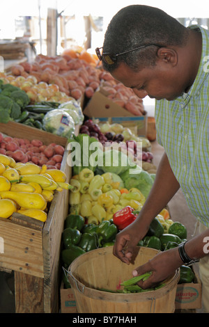 Tennessee Nashville,marché agricole de Nashville,produits locaux,légumes,frais,éppers,courge,chou,okra,développement durable,Green Movement,Black ma Banque D'Images