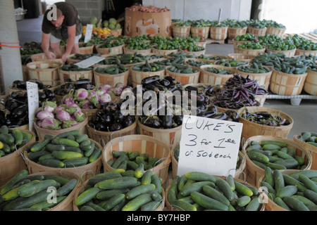 Tennessee Nashville, marché agricole de Nashville, produits locaux, légumes, frais, concombre, aubergine, shopping shopping shopping shopping shopping shopping shopping shopping shopping shopping shopping shopping shopping shopping shopping shopping shopping shopping shopping shopping shopping shopping shopping shopping shopping shopping shopping shopping shopping shopping shopping shopping shopping shopping shopping shopping shopping shopping shopping Banque D'Images