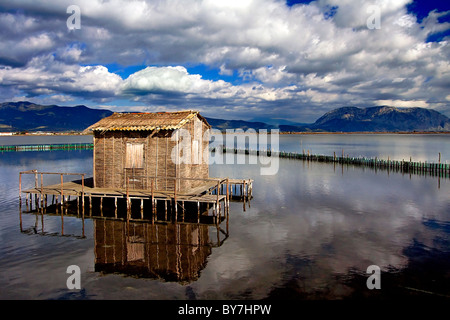 Une maison sur pilotis traditionnelle des lacs (appelés "pelada' en Grec) dans le lagon de Messolonghi, Grèce centrale Banque D'Images