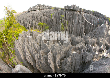 Un homme debout sur le pont suspendu du Grand Tsingy dans les Tsingy de Bemaraha Parc National dans l'ouest de Madagascar. Banque D'Images