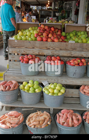 Tennessee Smithville, Griffin's fruit Market, ferme, produits locaux, fruits, légumes, ignames, pommes, rouge, vert, bushel, shopping shopper shoppers shop shops Banque D'Images