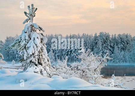 Le lac gelé en hiver les forêts de Carélie, en Russie. Eaux noires et des brunchs enneigé Banque D'Images