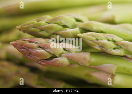 Voir des asperges sur un fond d'autres. Banque D'Images