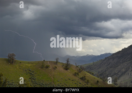 La foudre dans le Parc National de Yellowstone. Banque D'Images