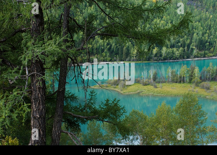 Baie de Wolong, Kanas, Xinjiang, Chine. Banque D'Images