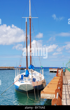 Bridgetown port avec voile de Bridgeport, Barbade, Antilles, Caraïbes Banque D'Images