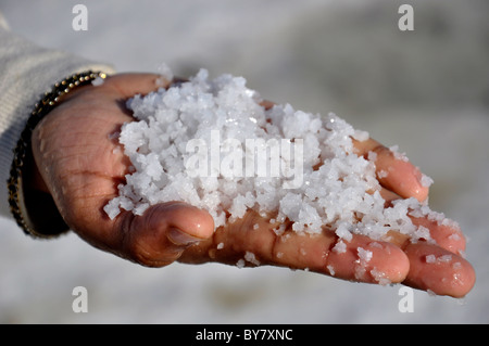 Une personne montrant du sel sur sa paume dans Rann de Kutch, Gujarat, Inde Banque D'Images