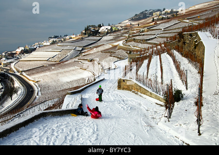 Enfants jouant dans la neige au milieu des vignobles en terrasses du Lavaux au patrimoine mondial de l'unesco près de Rivaz, Suisse Banque D'Images