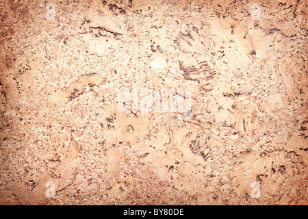 Texture d'image cork - surface du bois. Banque D'Images