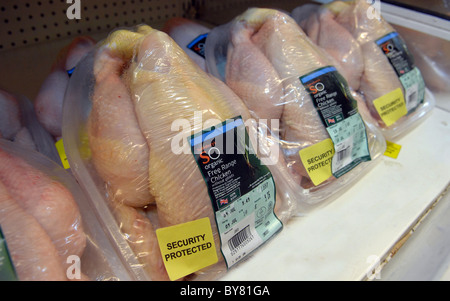 Poulet biologique protégée sécurité en vente dans une succursale de Sainsbury's à Brighton Banque D'Images